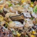 굴세상_앞 이미지