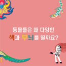 마음을 사로잡는 동물의 색 / 캐드 아드 (지은이), 그리어 스토더스 (그림), 장혜진 (옮긴이) / 키다리 이미지