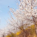 남통동 족구장 이미지