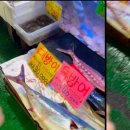 탐라호스텔 이미지