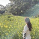 줄포만갯벌생태공원 공원카페