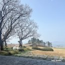 비치 | 파인비치CC 후기