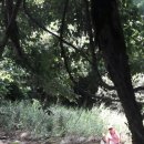 당구 친구 이미지