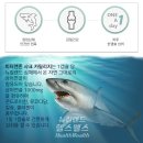 샤크 - 동구 전하로 4-1 | 샤크
