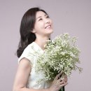 비볼코리아