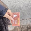 산 태권도장 | 광주 근교 썰매장 화순 백아산 겨울 여행지 추천 주말 아기와 방문 후기