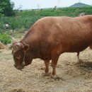 상기농장 이미지