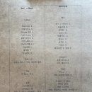 비치스브류 | 비치스브류 함덕해수욕장카페 제주LP카페