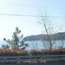 부동산바다공인중개사사무소 이미지