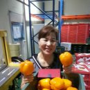 도곡온천 이미지