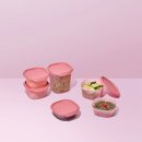 타파웨어 | [명절선물 추천] 주방의 품격이 바뀌는 '타파웨어 원터치 프레시 세트' 리얼 후기 및 특장점