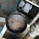 세종크리닝센타 이미지