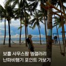 포인트팜 | 보홀 사우스팜 엠갤러리 난파비행기 포인트 펀다이빙 다녀온 후기: 물때 꿀팁 수심
