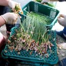 복사골푸드뱅크 이미지