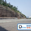 금창로 19 이미지