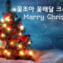 꽃조아 이미지