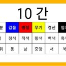황금토끼 이미지