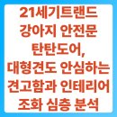 21세기애견용품 | 21세기트랜드 강아지 안전문 탄탄도어, 대형견도 안심하는 견고함과 인테리어 조화 심층 분석
