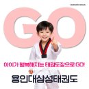 용인대삼성태권도장 이미지