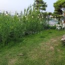 600흑돈송천점 이미지