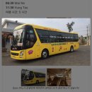 칸토쌀국수 | 슬리핑버스 타고 무이네에서 붕따우 여행 붕따우 맛집 코바