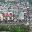 용인고등학교 이미지