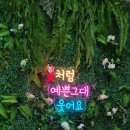 온정로9번길 | [호매실꽃집] 환갑선물로 딱! 마루꽃 생화꽃다발 픽업 후기