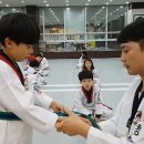 세종태권도 이미지