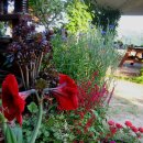 꽃님이네 이미지