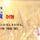 일본어(기초) 이미지