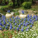 미래의원 이미지