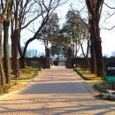 남산로R 이미지