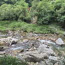 히어리캠핑장펜션 이미지