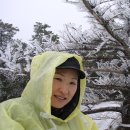 한라산 눈꽃/ 하양수 이미지