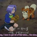 꼬리살랑 이미지