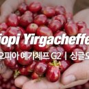 감탄커피 - 송파구 올림픽로35가길 11 | 감탄커피