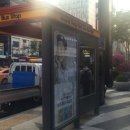 강남투어 - 거제시 피솔길 104 | 강남투어