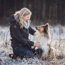 애견백과 - 셔틀랜드 쉽독 (Shetland Sheepdog) 이미지