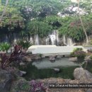 알로하 호텔 이미지