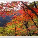 [2009년 10월 31일]가을 단풍산행 공지-관악산,삼성산 이미지