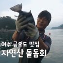 본동식당 | 오늘N 여수 금오도 맛집 자연산 돌돔회 제철 본동식당 위치 및 후기