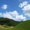 솔향기 가득한 펜션 이미지