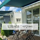 도그 포레스트 네이버블로그