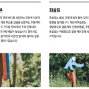 수수꽃담 이미지