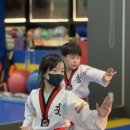 이글태권도장 이미지