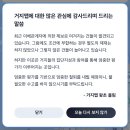 점심 값 아끼려고 mz들이 머리씀 이미지