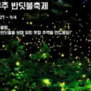 반딧불 이미지