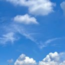 강릉농협 정동지점 이미지