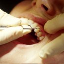 신흥치과기공소 이미지