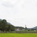 청초원